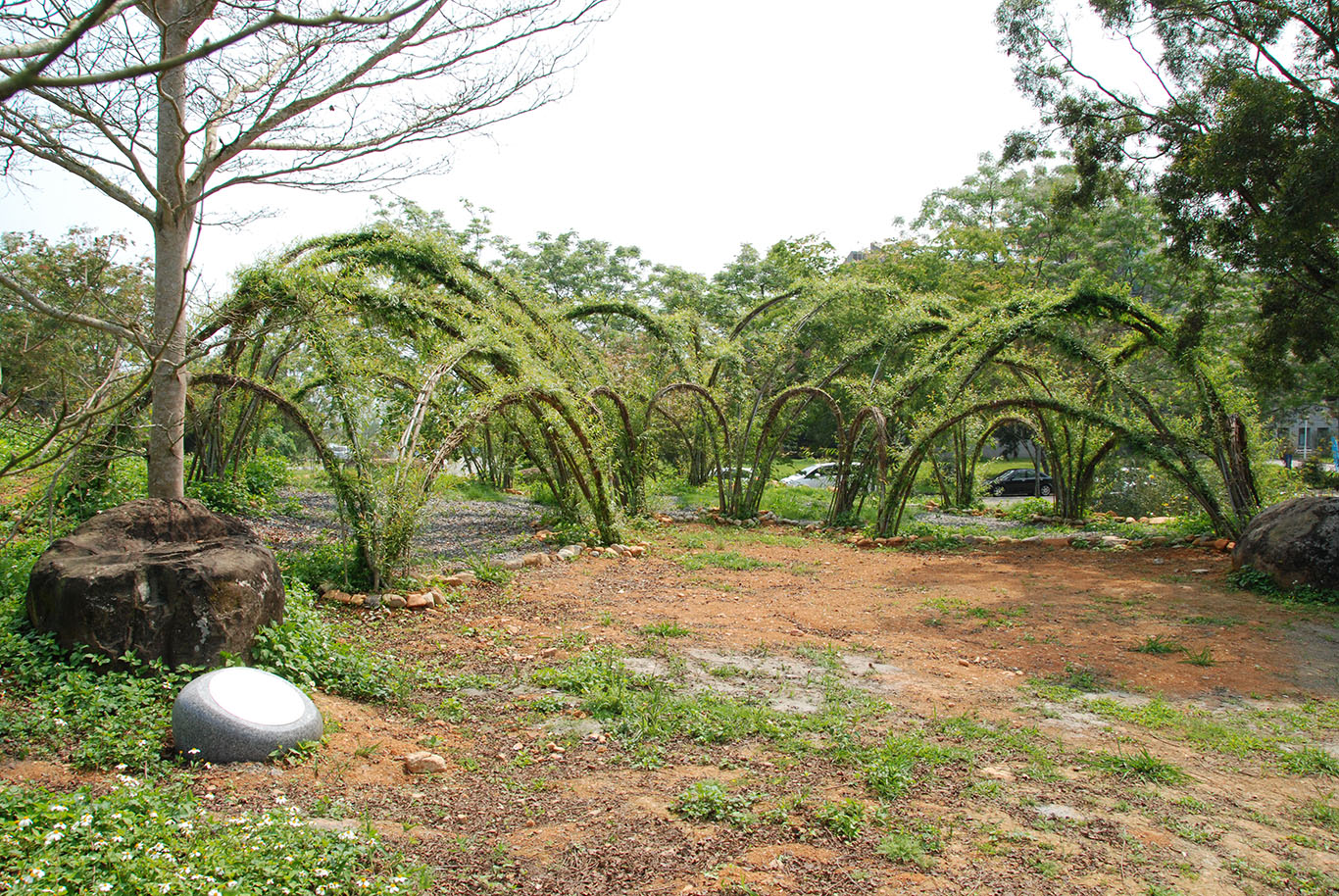 Living Willow Pavilion